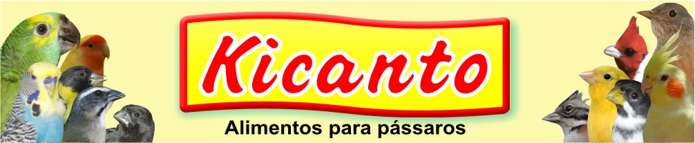 Kicanto